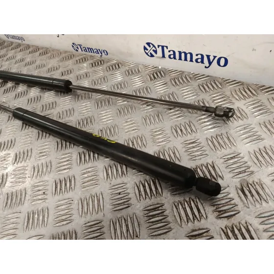 Amortiguadores Maletero / Porton para Mercedes-Benz Vito Furgoneta (W638)