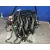 Motor Completo para Citroën C3 Iii (Sx)