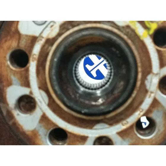 Mangueta Trasera Derecha para Audi A3 (8P)