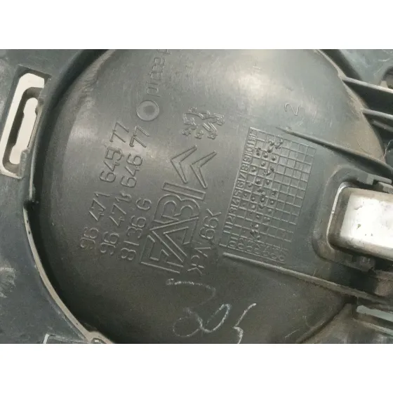Maneta Interior Delantera Izquierda para Citroën C3 I (Fc_, Fn_)