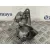 Motor Arranque para Dacia Sandero