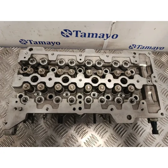Culata para Fiat Fiorino Furgoneta/Monovolumen (225_)
