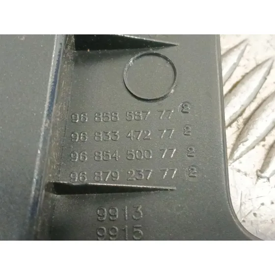 Moldura para Peugeot 3008