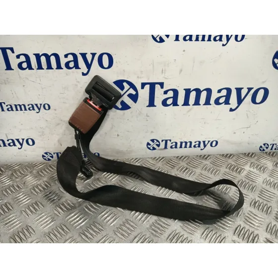 Cinturon Seguridad Trasero Central para Volkswagen Golf Iv (1J1)