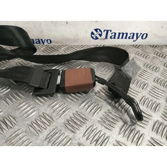 Cinturon Seguridad Trasero Central para Volkswagen Golf Iv (1J1)