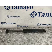 Amortiguador Porton Trasero Derecho para Volkswagen Golf V (1K1)