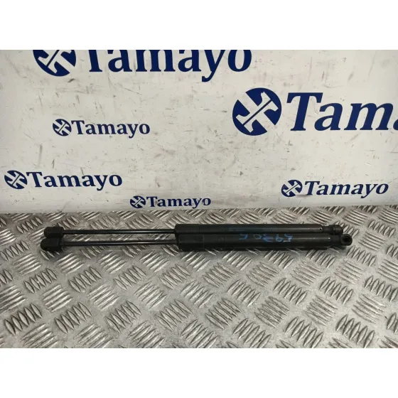 Amortiguador Porton Trasero Derecho para Volkswagen Golf V (1K1)