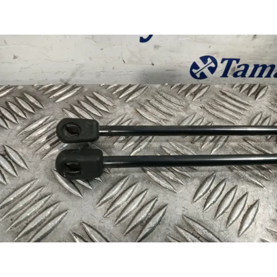 Amortiguador Porton Trasero Derecho para Volkswagen Golf V (1K1)