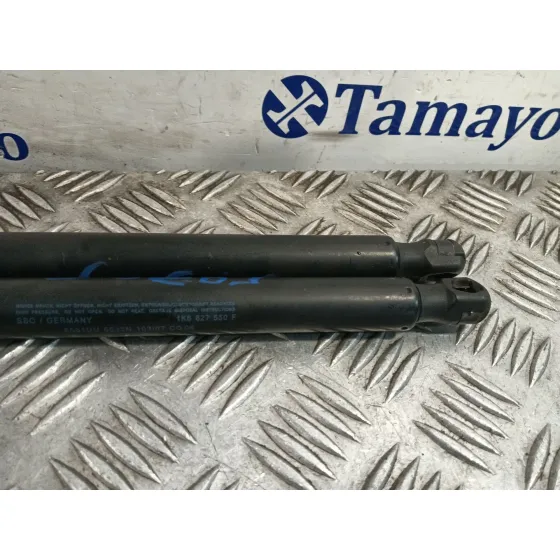 Amortiguador Porton Trasero Derecho para Volkswagen Golf V (1K1)