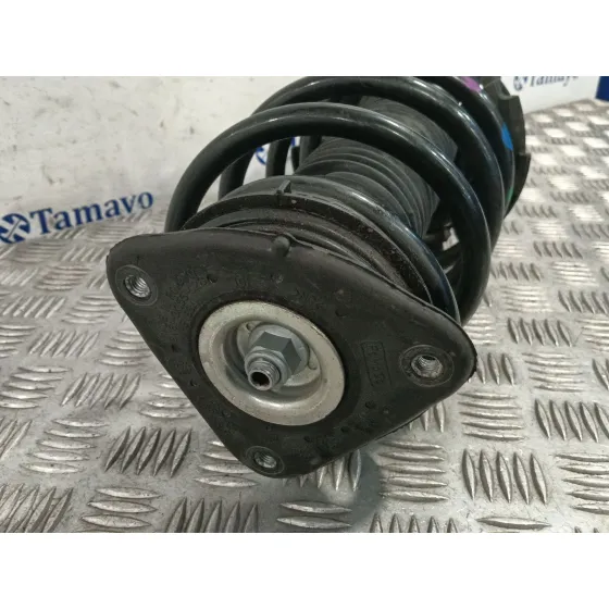Amortiguador Delantero Izquierdo para Ford Transit Connect V408 Furgoneta/Monovolumen