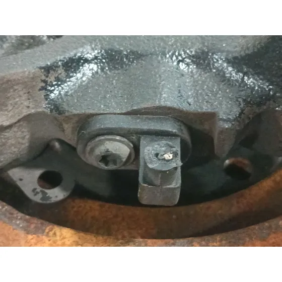 Mangueta Delantera Derecha para Renault Clio Iv (Bh_)