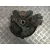 Mangueta Delantera Derecha para Seat Ibiza Iv (6J5, 6P1)