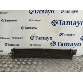 Radiador Agua para Renault Master Iii Caja/Chasis (Ev, Hv, Uv)