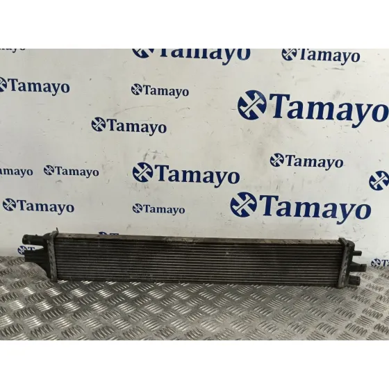 Radiador Agua para Renault Master Iii Caja/Chasis (Ev, Hv, Uv)