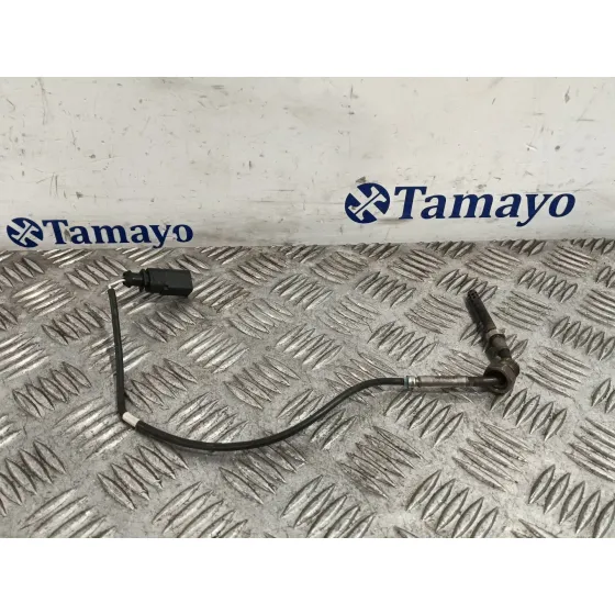 Sensor para Seat Exeo (3R2)