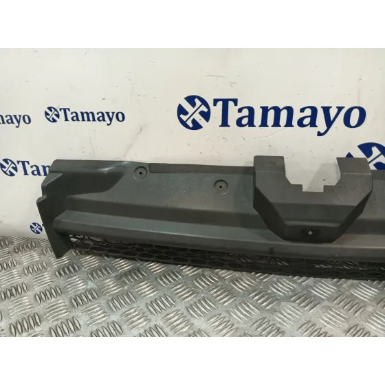 Rejilla Delantera para Ford Transit Connect (P65_, P70_, P80_)