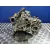 Caja Cambios para Seat Leon (1M1)