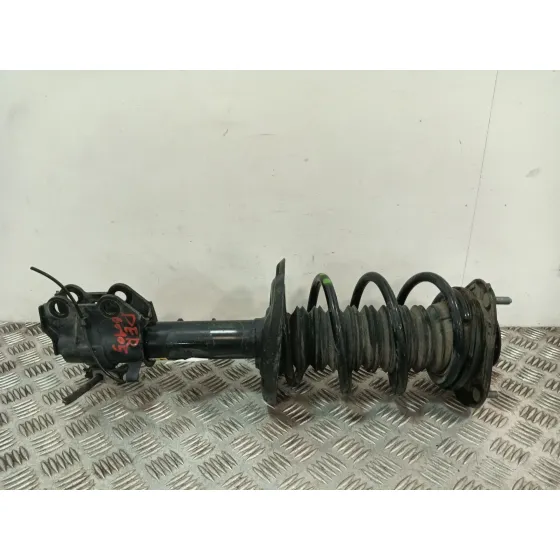 Amortiguador Delantero Izquierdo para Toyota C-Hr (_X1_)