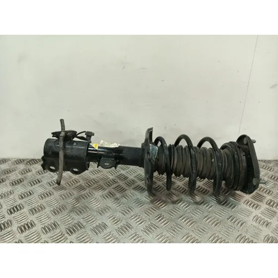Amortiguador Delantero Izquierdo para Toyota C-Hr (_X1_)