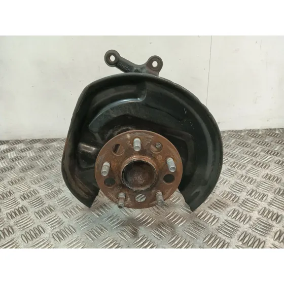 Mangueta Trasera Izquierda para Toyota C-Hr (_X1_)