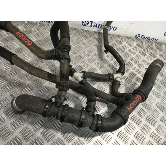 Manguera para Renault Master Iii Caja/Chasis (Ev, Hv, Uv)