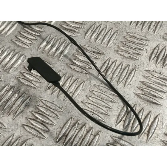 Cerradura Maletero / Porton para Bmw 1 (E81)