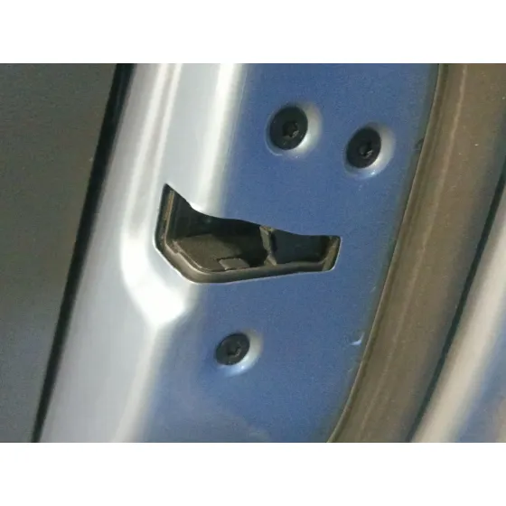 Puerta Trasera Derecha para Ford Focus C-Max (Dm2)