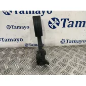 Pedal Acelerador para Renault Clio Iv