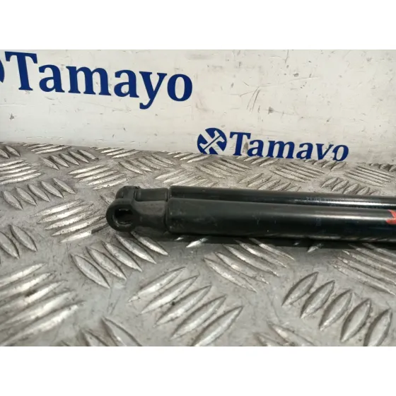 Amortiguador Porton Trasero Derecho para Land Rover Discovery Iv (L319)