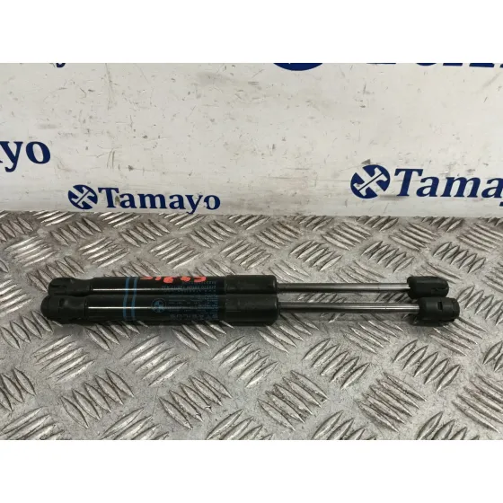 Amortiguadores Capo para Bmw 1 (F21)
