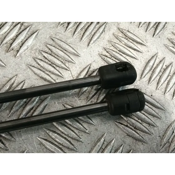 Amortiguadores Capo para Bmw 1 (F21)