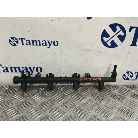Rampa Inyectora para Renault Megane Iii Coupe (Dz0/1_)