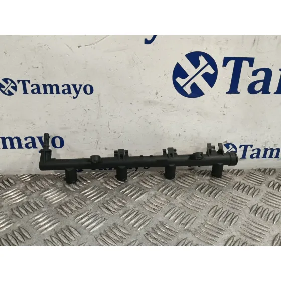 Rampa Inyectora para Renault Megane Iii Coupe (Dz0/1_)