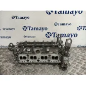 Culata para Mercedes-Benz Sprinter 5-T Caja/Chasis (B906)