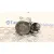 Motor Arranque para Renault Clio Ii (Bb_, Cb_)