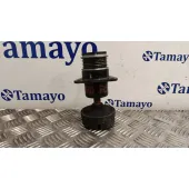 Polea Alternador para Ford Focus C-Max (Dm2)