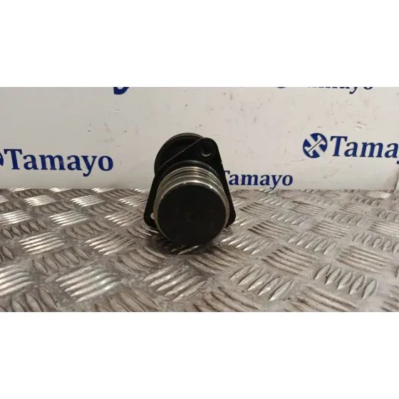 Polea Alternador para Ford Focus C-Max (Dm2)