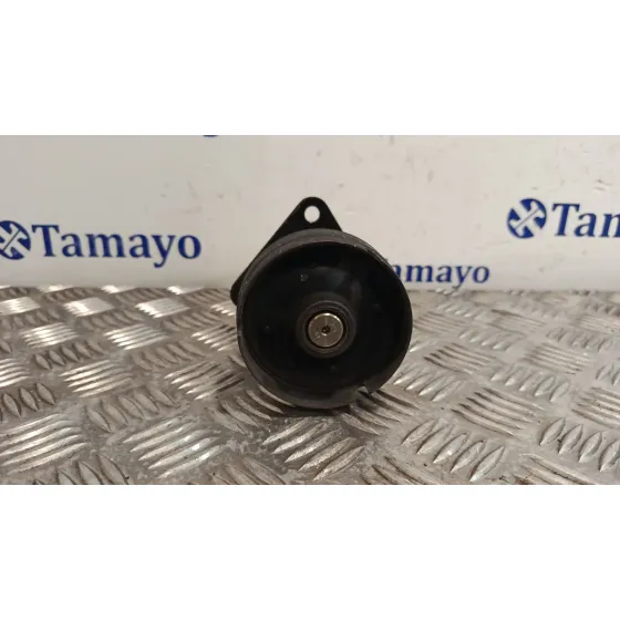 Polea Alternador para Ford Focus C-Max (Dm2)