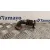 Tubo Egr para Mercedes-Benz Sprinter 5-T Caja/Chasis (B906)