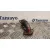 Tubo Egr para Mercedes-Benz Sprinter 5-T Caja/Chasis (B906)