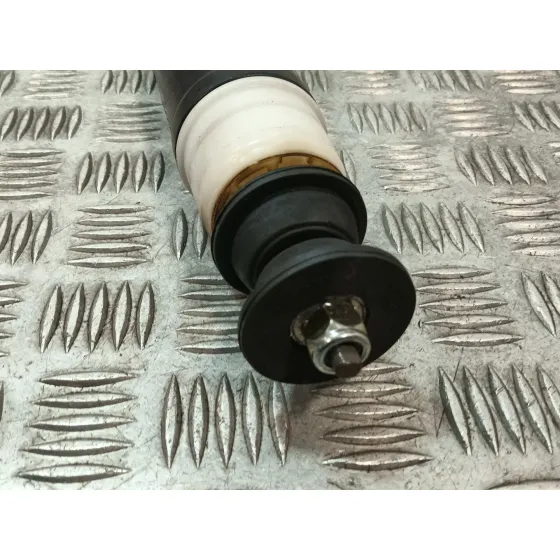 Amortiguador Trasero Derecho para Renault Clio Iv