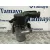 Bomba Direccion para Peugeot 508 Sw I (8E_)