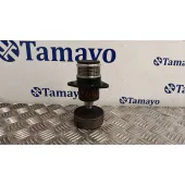 Polea Alternador para Ford Focus C-Max (Dm2)