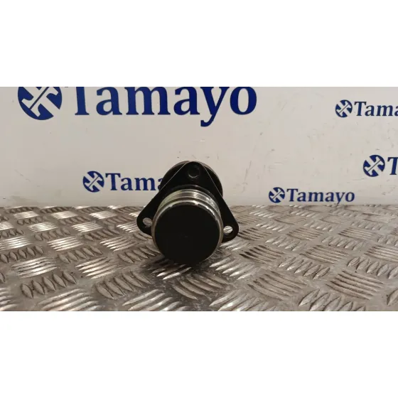 Polea Alternador para Ford Focus C-Max (Dm2)