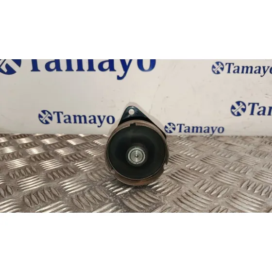 Polea Alternador para Ford Focus C-Max (Dm2)