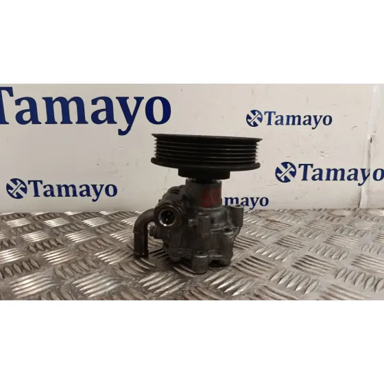 Bomba Direccion para Volkswagen Golf Iv (1J1)