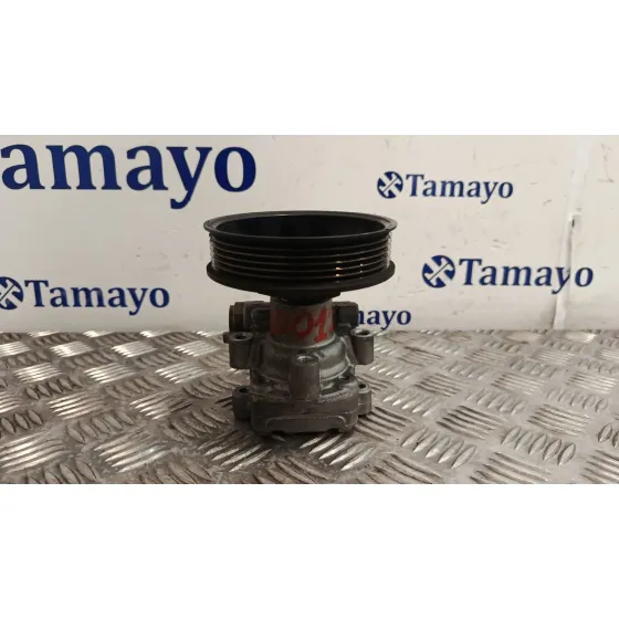 Bomba Direccion para Volkswagen Golf Iv (1J1)
