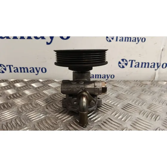 Bomba Direccion para Volkswagen Golf Iv (1J1)