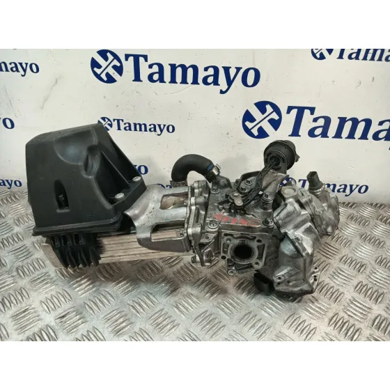 Enfriador Egr para Mercedes-Benz Sprinter 5-T Caja/Chasis (B906)