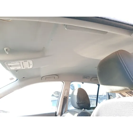 Techo Interior para Renault Koleos